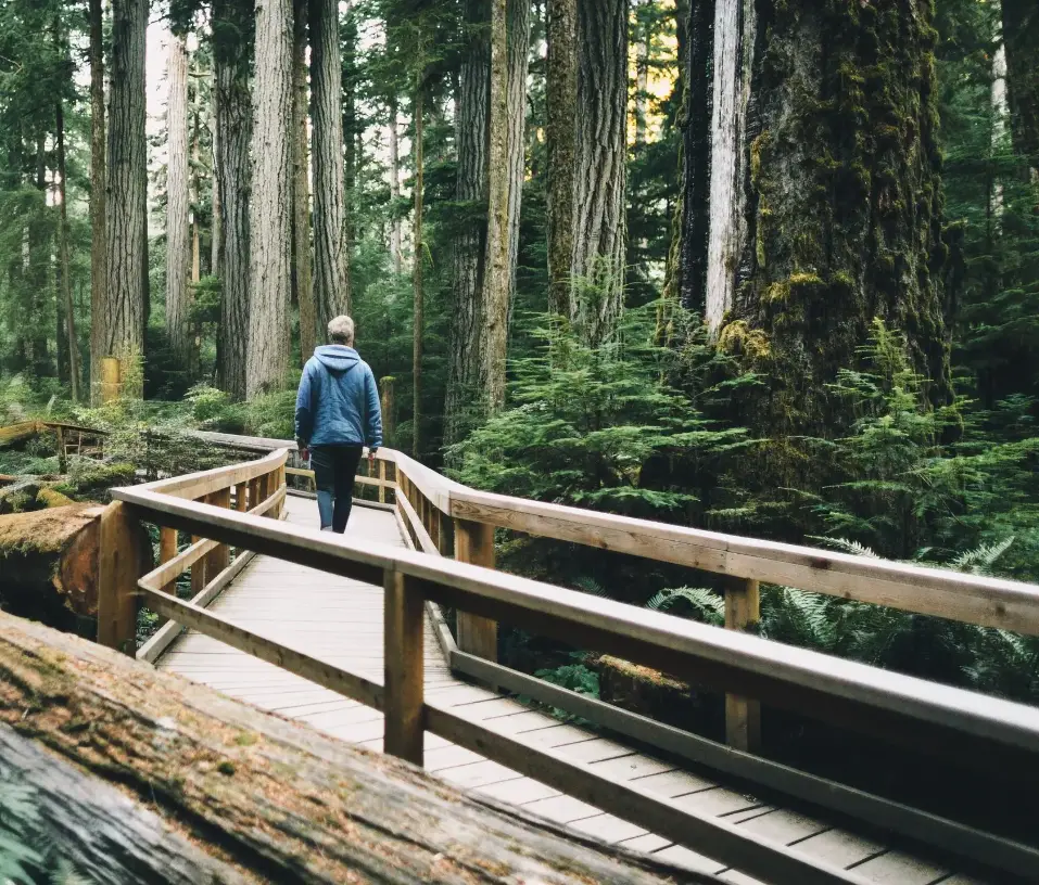 MacMillan Provincial Park